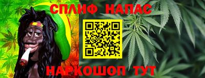 крисы Кунгур