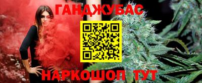 крисы Кунгур
