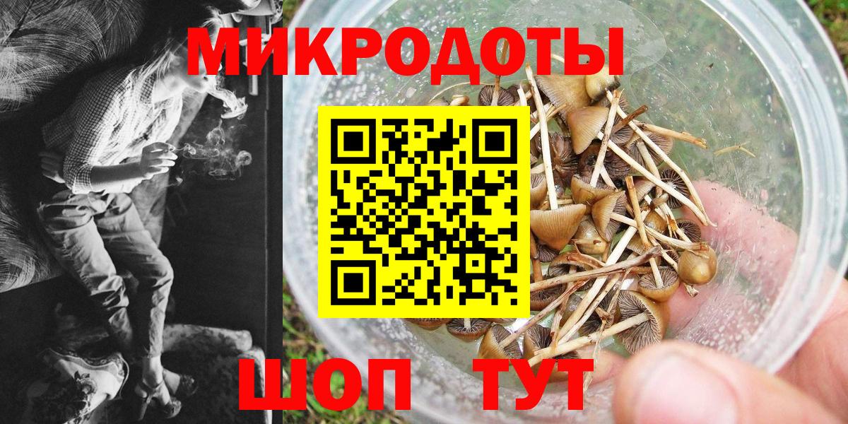 Галлюциногенные грибы Cubensis  Вход с VPN  где купить   Псилоцибиновые грибы Magic Shrooms  Казань 